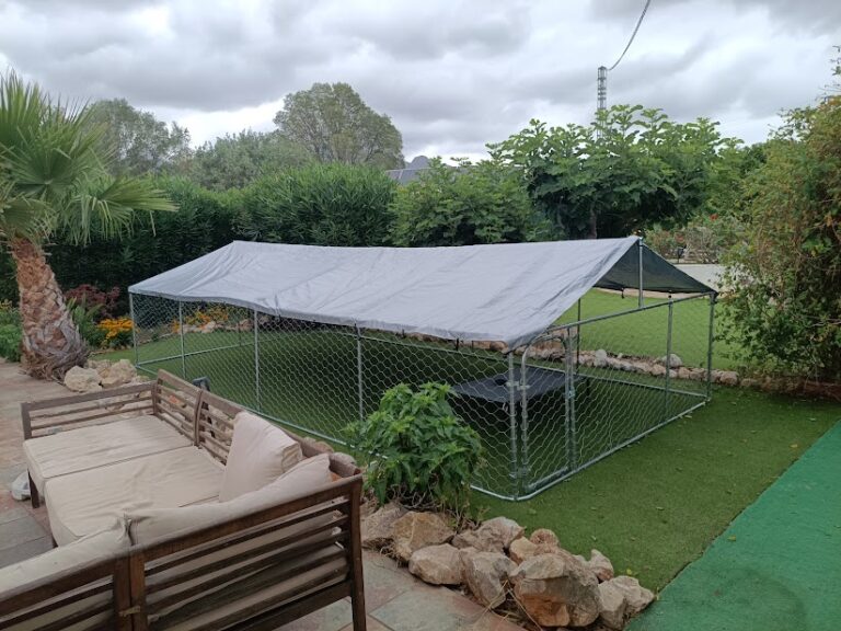 Playpen ready for 13 Rhodesian ridgeback puppies