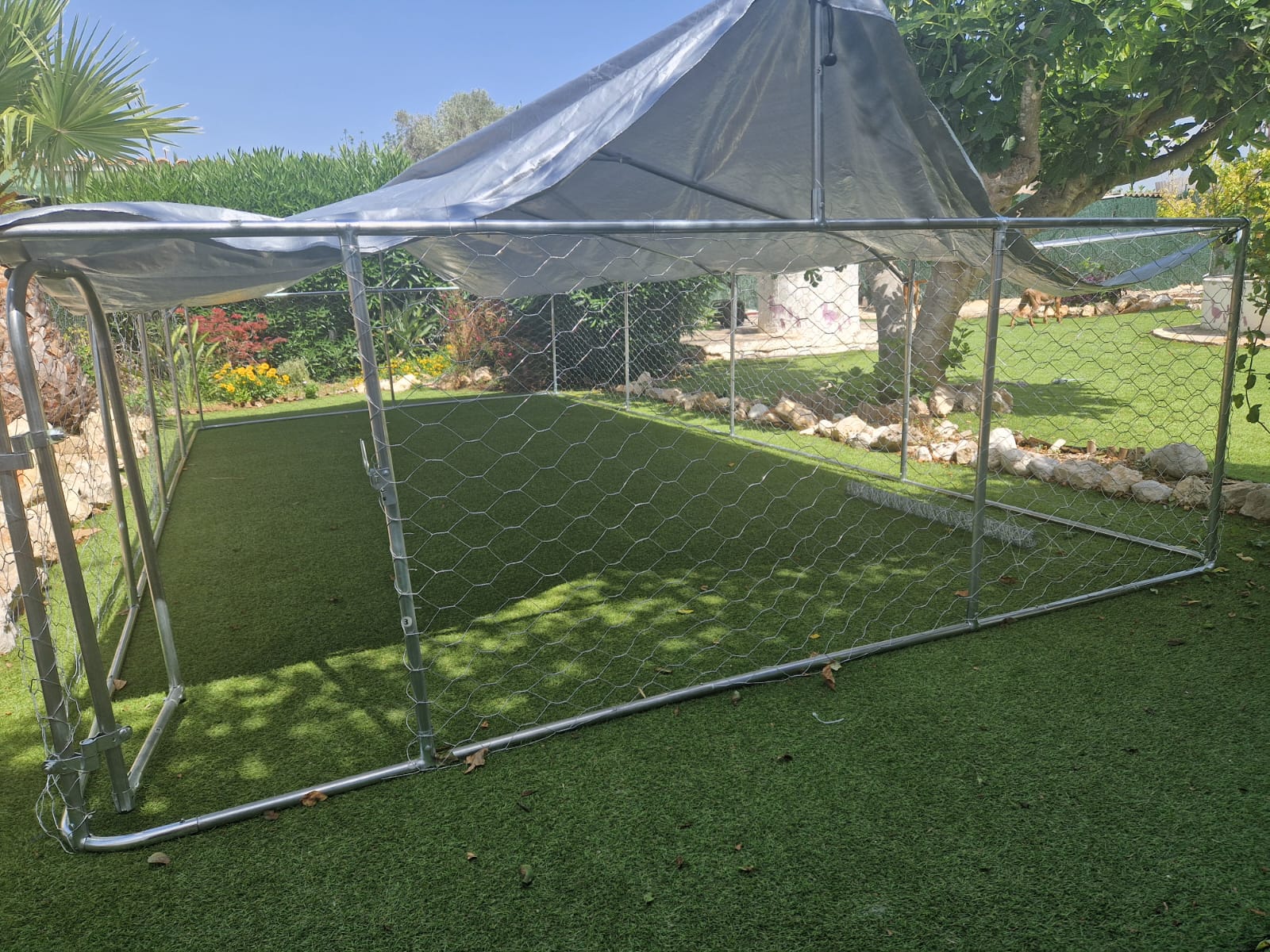 rhodesian ridgeback playpen